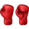 Boxing Gloves
