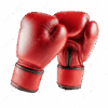 Fight Gear