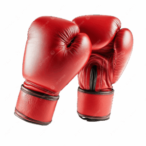 Fight Gear
